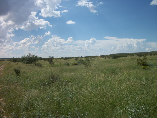 BQ Ranch Land