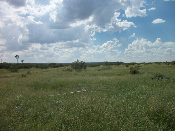 BQ Ranch Land