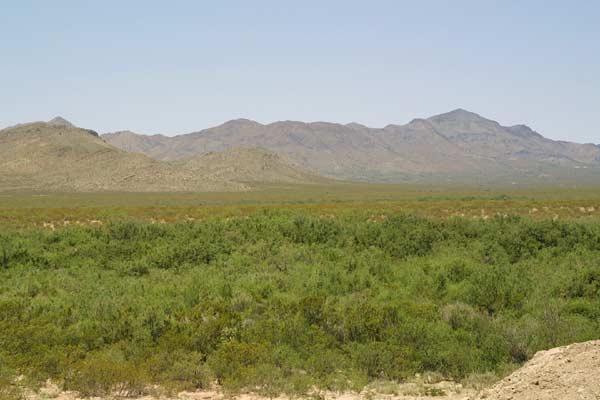 I-10 Ranch Land